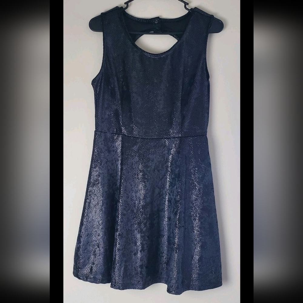 Sleeveless Metallic Black Textured Fit & Flare Dress